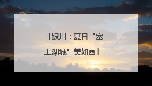 银川：夏日“塞上湖城”美如画