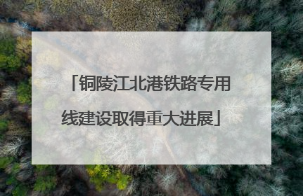铜陵江北港铁路专用线建设取得重大进展