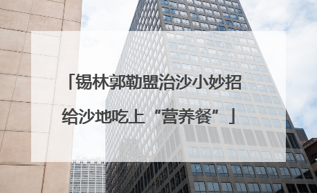 锡林郭勒盟治沙小妙招 给沙地吃上“营养餐”