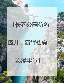 长春公园芍药盛开，演绎初夏浪漫华章