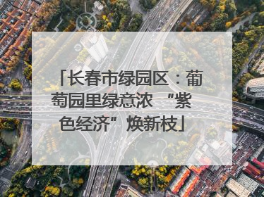 长春市绿园区：葡萄园里绿意浓 “紫色经济”焕新枝