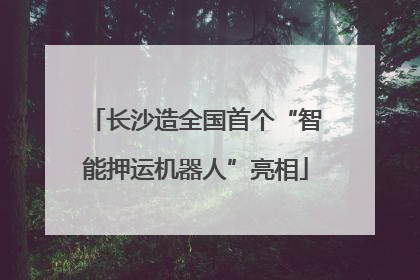 长沙造全国首个“智能押运机器人”亮相
