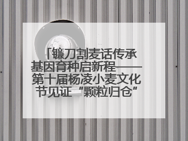镰刀割麦话传承 基因育种启新程——第十届杨凌小麦文化节见证“颗粒归仓”时空跨越