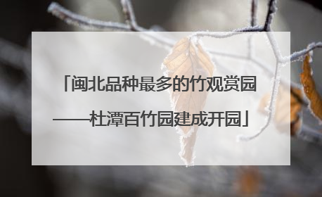 闽北品种最多的竹观赏园——杜潭百竹园建成开园