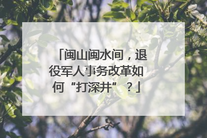 闽山闽水间，退役军人事务改革如何“打深井”？