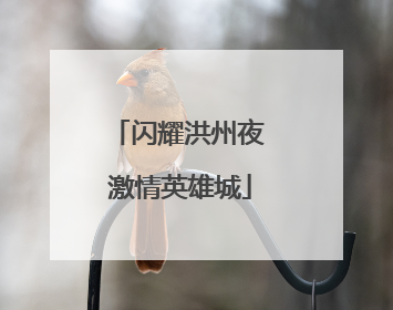 闪耀洪州夜 激情英雄城