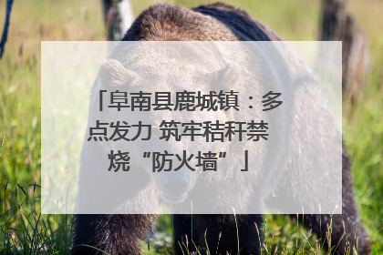阜南县鹿城镇：多点发力 筑牢秸秆禁烧“防火墙”