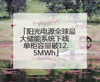 阳光电源全球最大储能系统下线 单柜容量破12.5MWh