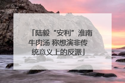 陆毅“安利”淮南牛肉汤 称想演非传统意义上的反派