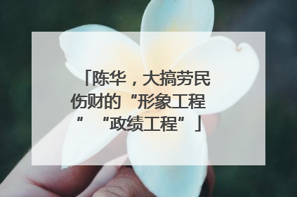 陈华，大搞劳民伤财的“形象工程”“政绩工程”