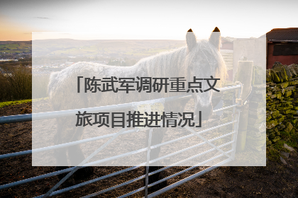 陈武军调研重点文旅项目推进情况