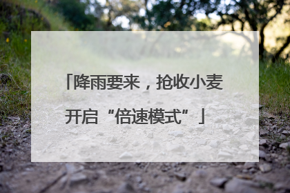 降雨要来，抢收小麦开启“倍速模式”