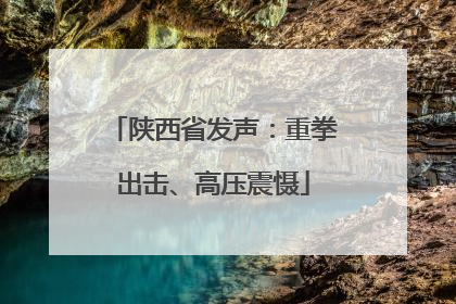 陕西省发声：重拳出击、高压震慑