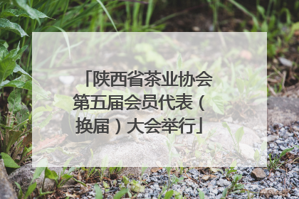 陕西省茶业协会第五届会员代表（换届）大会举行
