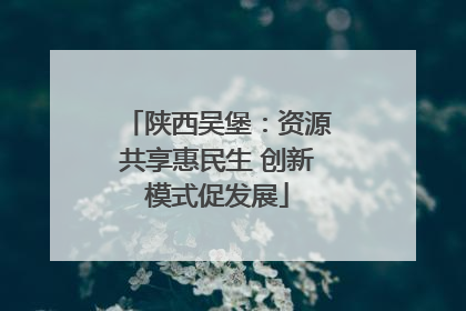 陕西吴堡：资源共享惠民生 创新模式促发展