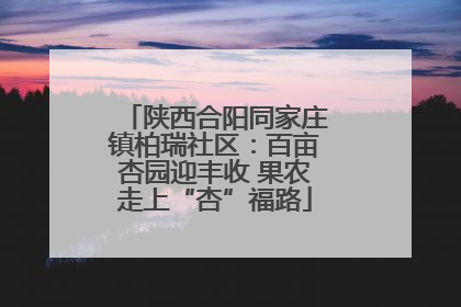 陕西合阳同家庄镇柏瑞社区：百亩杏园迎丰收 果农走上“杏”福路