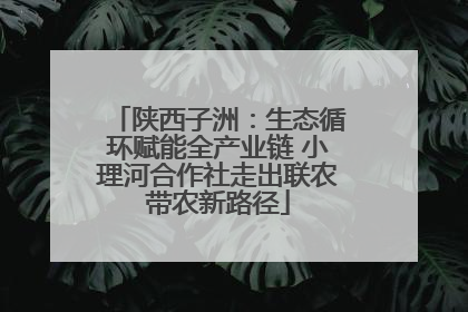 陕西子洲：生态循环赋能全产业链 小理河合作社走出联农带农新路径