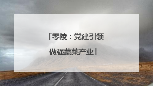 零陵：党建引领 做强蔬菜产业