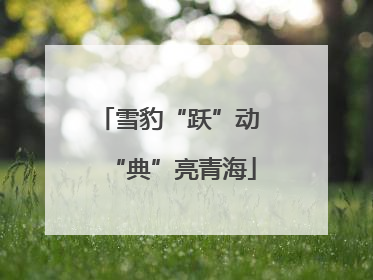 雪豹“跃”动 “典”亮青海