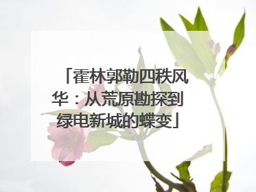 霍林郭勒四秩风华：从荒原勘探到绿电新城的蝶变