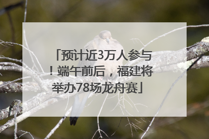预计近3万人参与！端午前后，福建将举办78场龙舟赛