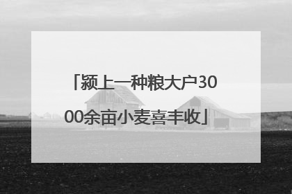 颍上一种粮大户3000余亩小麦喜丰收