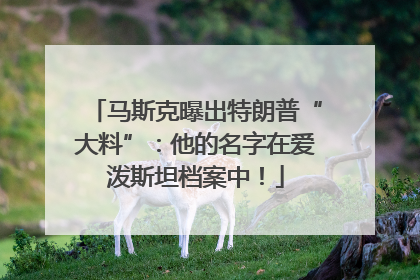 马斯克曝出特朗普“大料”：他的名字在爱泼斯坦档案中！