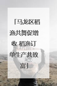 马龙区稻渔共舞促增收 稻渔订单生产共致富