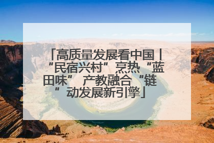 高质量发展看中国丨“民宿兴村”烹热“蓝田味” 产教融合“链”动发展新引擎