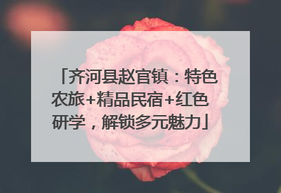 齐河县赵官镇：特色农旅+精品民宿+红色研学，解锁多元魅力