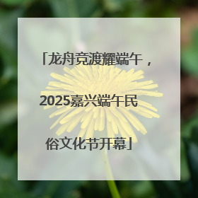 龙舟竞渡耀端午，2025嘉兴端午民俗文化节开幕