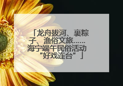 龙舟拔河、裹粽子、渔俗文旅……海宁端午民俗活动“好戏连台”