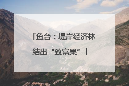 鱼台：堤岸经济林结出“致富果”