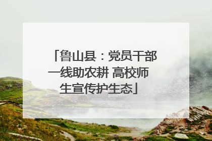 鲁山县：党员干部一线助农耕 高校师生宣传护生态