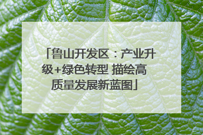 鲁山开发区：产业升级+绿色转型 描绘高质量发展新蓝图