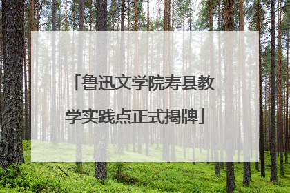 鲁迅文学院寿县教学实践点正式揭牌