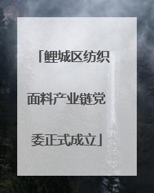 鲤城区纺织面料产业链党委正式成立
