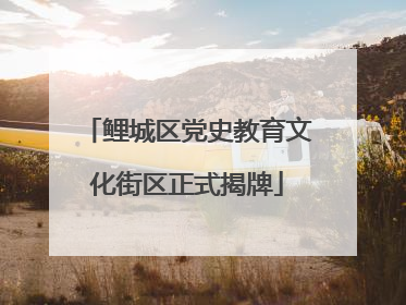 鲤城区党史教育文化街区正式揭牌