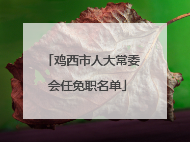 鸡西市人大常委会任免职名单