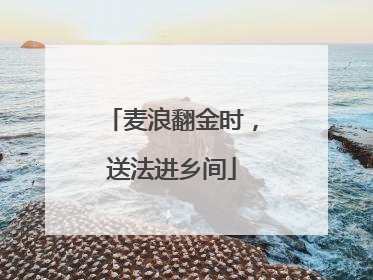 麦浪翻金时，送法进乡间