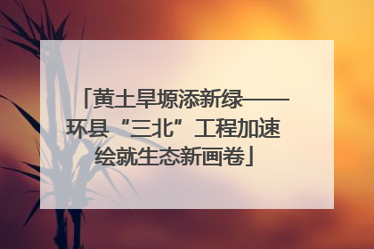 黄土旱塬添新绿——环县“三北”工程加速绘就生态新画卷