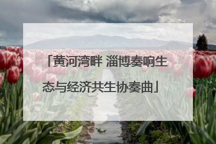 黄河湾畔 淄博奏响生态与经济共生协奏曲