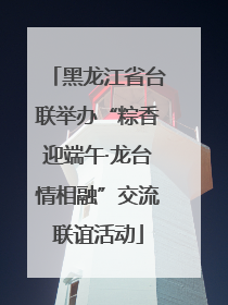 黑龙江省台联举办“粽香迎端午·龙台情相融”交流联谊活动