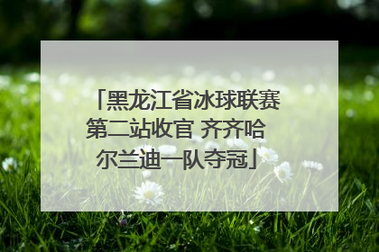 黑龙江省冰球联赛第二站收官 齐齐哈尔兰迪一队夺冠