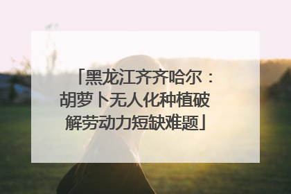 黑龙江齐齐哈尔：胡萝卜无人化种植破解劳动力短缺难题