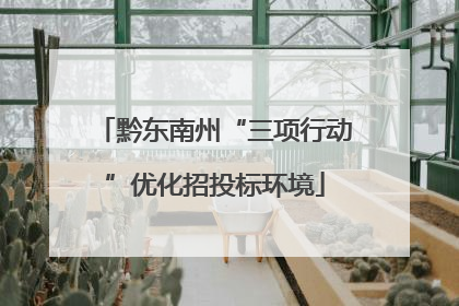 黔东南州“三项行动”优化招投标环境