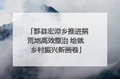 黟县宏潭乡推进撂荒地高效整治 绘就乡村振兴新画卷