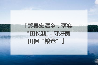 黟县宏潭乡：落实“田长制” 守好良田保“粮仓”