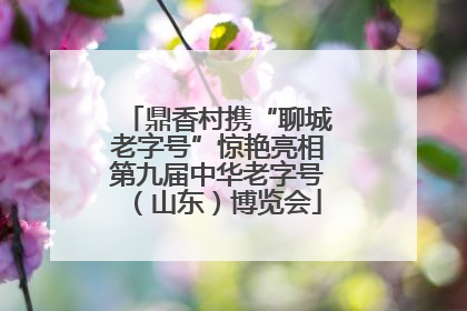 鼎香村携“聊城老字号”惊艳亮相第九届中华老字号（山东）博览会