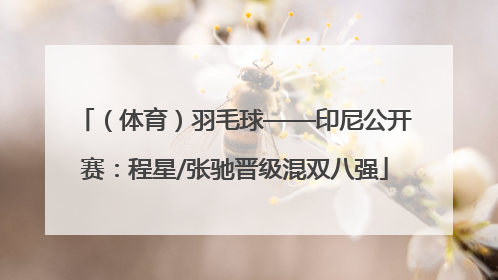 （体育）羽毛球——印尼公开赛：程星/张驰晋级混双八强